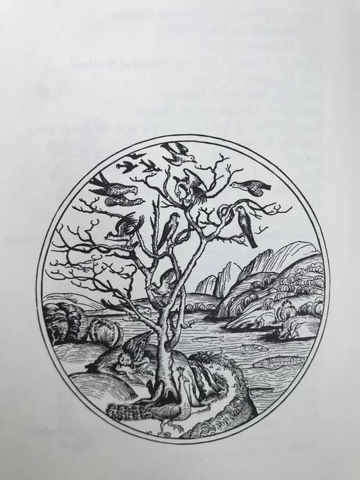 莎士比亚六部悲剧 配插图 豪华皮装18开 商品图4