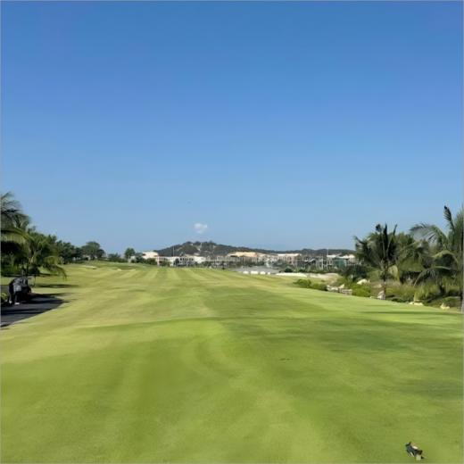 芽庄金兰湾高尔夫俱乐部  KN Golf Links Cam Ranh  | 芽庄高尔夫球场 | 越南高尔夫球场 俱乐部 商品图7