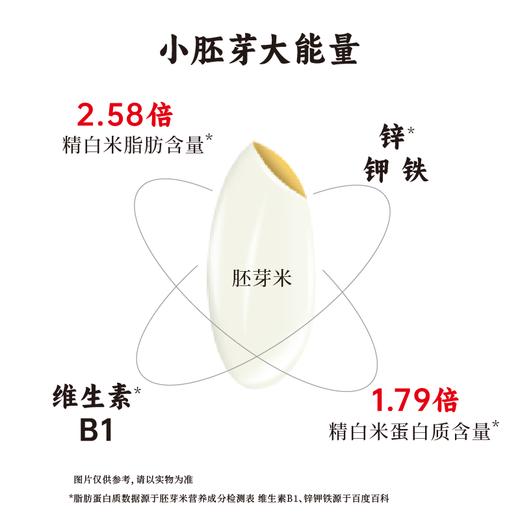 【2025年秋收】谦益香畴胚芽米500g 自然农耕东北原产生态稻花香 营养粥米 软糯回甘 米油浓厚 商品图1