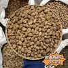 砂仁   阳春砂仁  净砂仁  菜砂仁   香砂仁 商品缩略图2