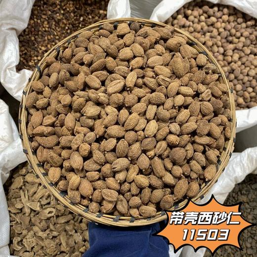 砂仁   阳春砂仁  净砂仁  菜砂仁   香砂仁 商品图2