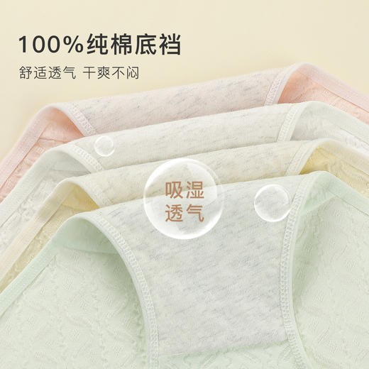 【4条装】高腰收腹内裤女100%棉内裆棉柔舒适提花三角内裤舒雅波纹内裤4条装 商品图5
