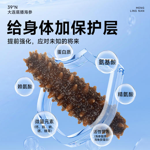 【至尊营养 淡干辽参】梦岭南淡干辽参60头 营养滋补 食补健康 全家老少 养生 商品图5