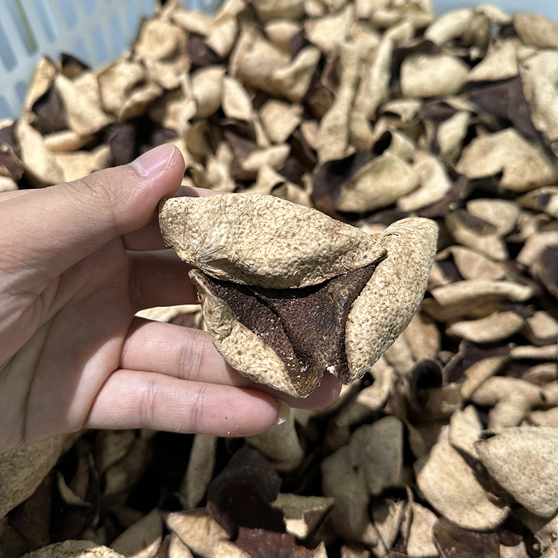 【售完即止】2018年肇庆茶枝柑二红皮陈皮半斤装【国sir严选】