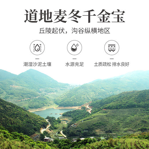 方家铺子 FZ-麦冬150g/瓶装 商品图6