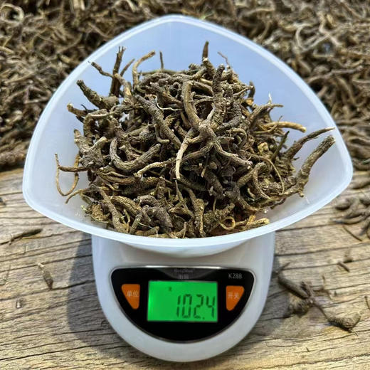 【西藏野生藏当归】西藏林芝地区野生当归100g 商品图3