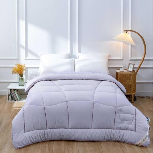 【远梦】新西兰羊毛恒温冬厚被 商品图0