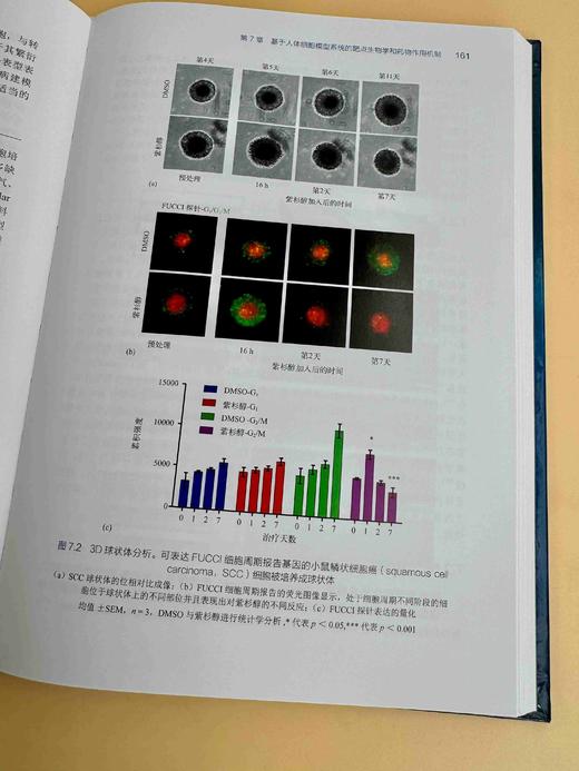 靶点发现与确证 商品图4