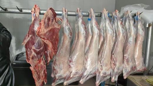 【自营】新疆尉犁县 塔河羔羊全羊 20斤整只礼盒装 5斤尝鲜装10斤实惠装羊腿羊排 商品图4