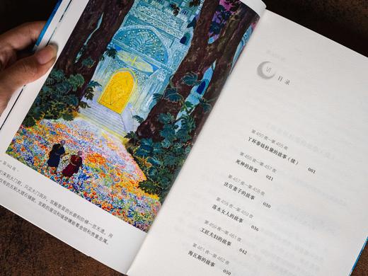 《一千零一夜》礼盒珍藏版（全10册）经典译本，风靡全球20多年  看一百遍都不腻的“百科大书” 商品图5