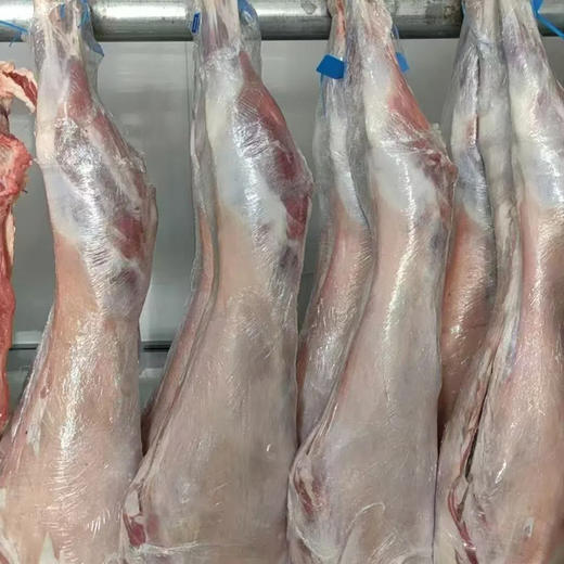 【自营】新疆尉犁县 塔河羔羊全羊 20斤整只礼盒装 5斤尝鲜装10斤实惠装羊腿羊排 商品图2