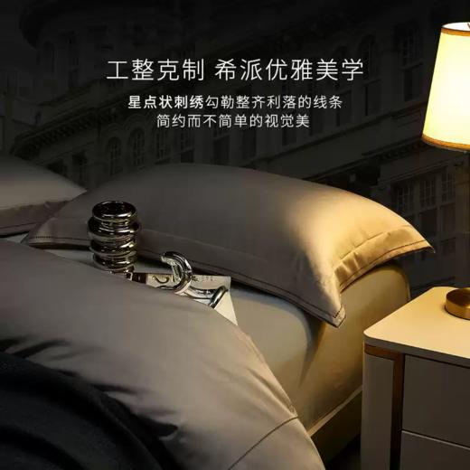 希尔顿酒店100支埃及棉四件套纯棉2024新款高档床品加大尺寸床单 商品图0