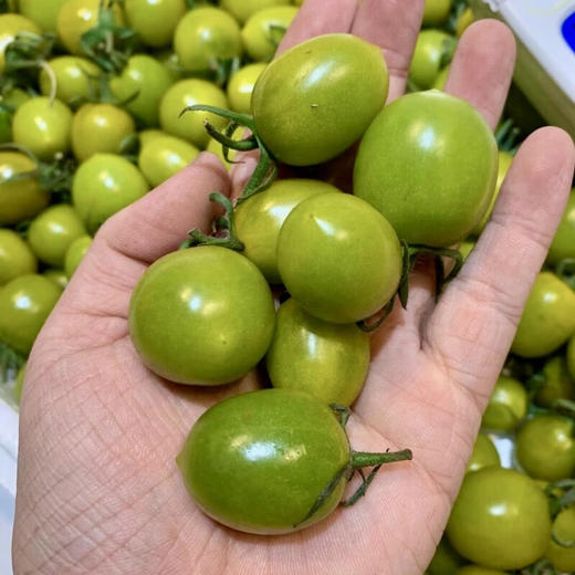 【分仓直发包邮】青甜2号—青口蜜2斤装（一斤一盒，一斤40个左右） 商品图1