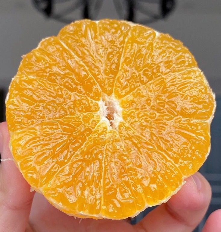 【包邮】爱媛果冻橙 38号 只做高品质 自然熟果子 新鲜现摘现发  拒绝催熟冻果❗72小时内发货，急单见谅！