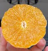 【包邮】爱媛果冻橙 38号 只做高品质 自然熟果子 新鲜现摘现发  拒绝催熟冻果❗72小时内发货，急单见谅！ 商品缩略图0