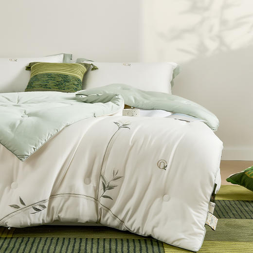 【多样屋专柜】多样屋被子东方茶净清香乌龙冬被-本白冬季保暖被/200*230cm（仅被子） 商品图2