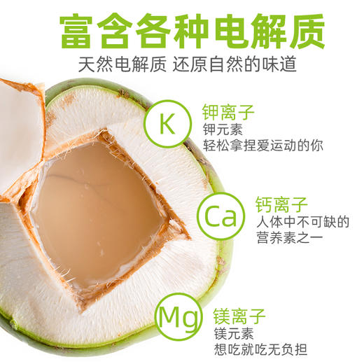 【 泰国香椰水含量≥20%】ABD纯椰子水 商品图4
