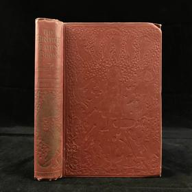 1919年 安德鲁·朗格《棕色童话书》 8幅彩色与大量黑白插图 漆布精装32开