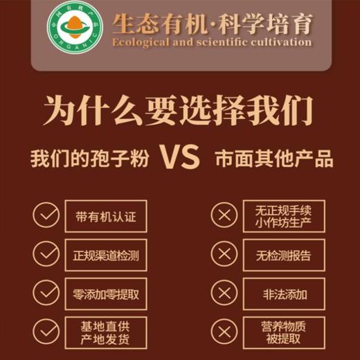 有机灵芝孢子粉 正宗原产深山臻品  增强免疫调理滋补 送长辈送领导礼品装 商品图7