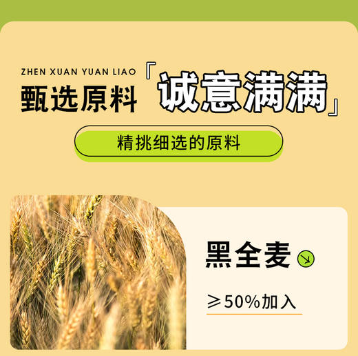 黑全麦无糖麻花 258克*6包   （可选椒盐味和原味各3包） 商品图8