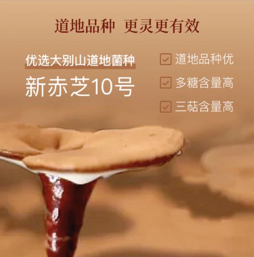 正安 赞安破壁灵芝孢子粉 免疫力 中老年营养补充 赞安原材 1g/包*60包/盒【不可用券】 商品图2