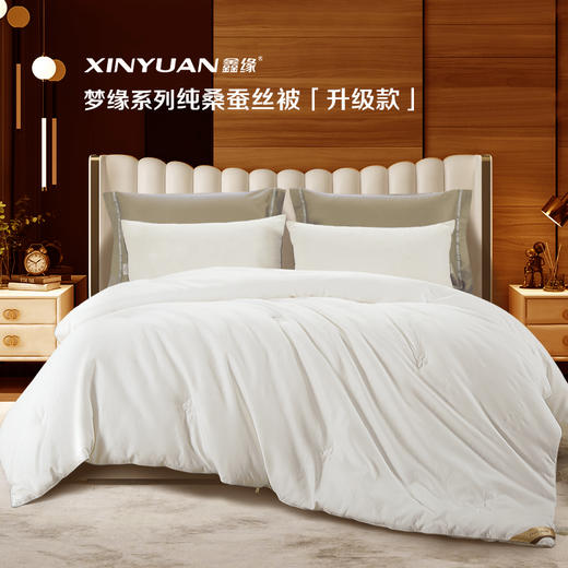 梦缘系列纯桑蚕丝被 AQPD 商品图0
