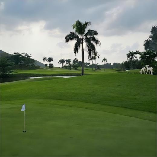 芽庄钻石湾高尔夫俱乐部 Diamond Bay Resort Golf Course  | 芽庄高尔夫球场 | 越南高尔夫球场俱乐部 商品图2