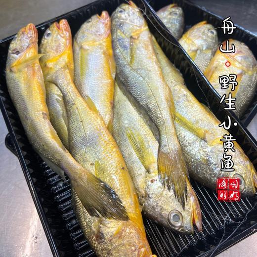 【闹妈海鲜】[液氮速冻]舟山小黄鱼 各种规格 商品图2