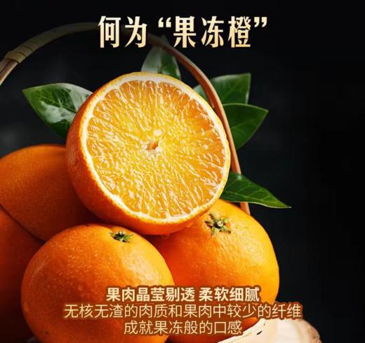 【包邮】爱媛果冻橙 38号 只做高品质 自然熟果子 新鲜现摘现发  拒绝催熟冻果❗72小时内发货，急单见谅！ 商品图2