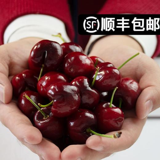 智利车厘子2.5kg（规格 3J） 商品图1