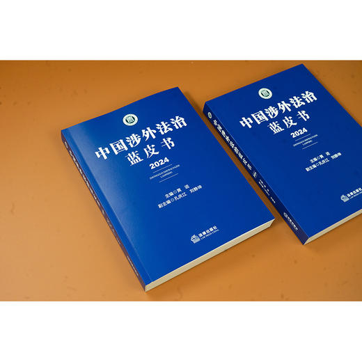 中国涉外法治蓝皮书（2024）黄进主编 法律出版社 商品图4