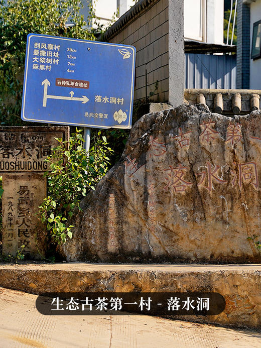 【金奖落水洞单株】2018年头春头采易武生态古茶第一村；历年斗茶会上三次夺魁山头；普洱茶生茶饼 357克/饼，拍5发6拍20发25 商品图2