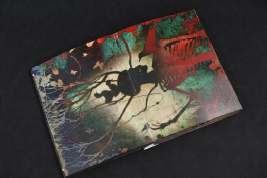 永无岛 马良 摄影集 限量特装刷边（京东专属签名编号本 赠编号藏书票 、胶片书签、 鼠标垫 、刹那别册）特制函套 商品图11