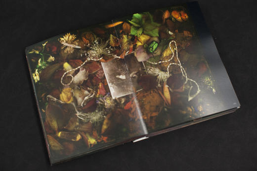 永无岛 马良 摄影集 限量特装刷边（京东专属签名编号本 赠编号藏书票 、胶片书签、 鼠标垫 、刹那别册）特制函套 商品图12