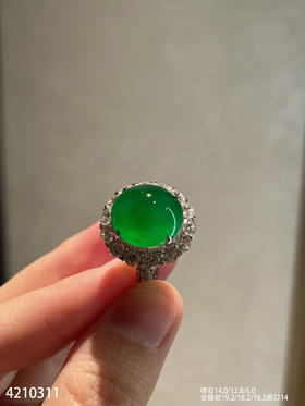 老坑艳绿蛋面戒指【4210311】具体价格微信咨询