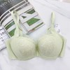 3楼安莉芳Comfit立体杯大胸文胸CB00154吊牌价699元现价594元 商品缩略图3