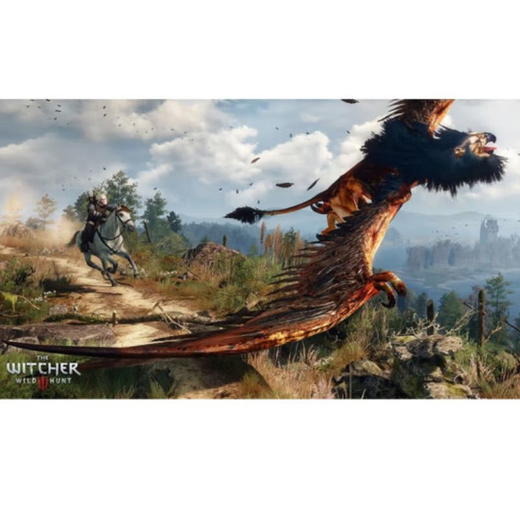 【共享租借】索尼（SONY）PS4 游戏光盘PS4巫师3狂猎 商品图3