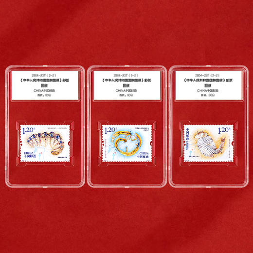 《世界自然遗产澄江化石地》特种邮票 2024-4 商品图1