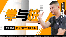 【11月27日】拳与桩