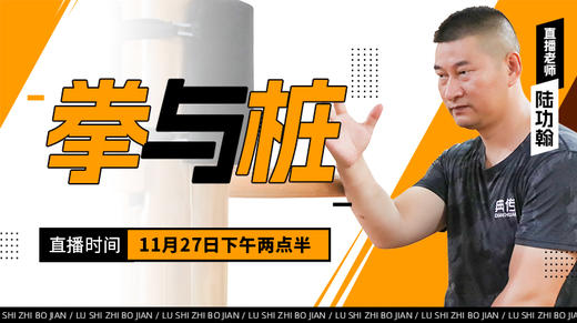 【11月27日】拳与桩 商品图0
