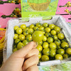 青甜小番茄 商品缩略图12