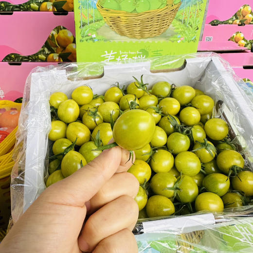 青甜小番茄 商品图12