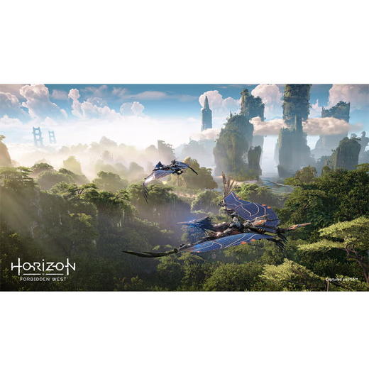 【共享租借】索尼（SONY）PS4 游戏光盘 ps5地平线2 商品图4