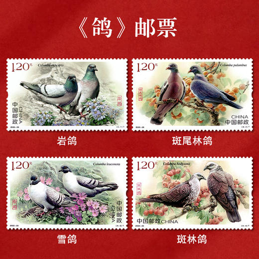 《鸽》特种邮票 2022-25 商品图0
