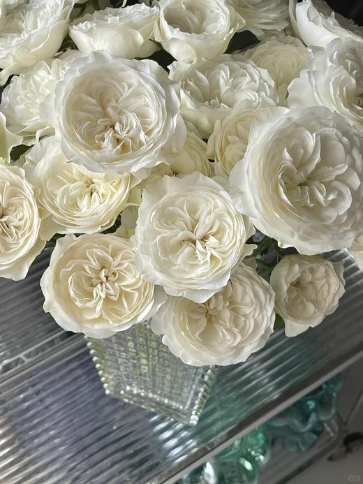 同城甄选精品玫瑰花泰勒10支 商品图1