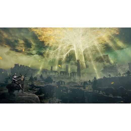 【共享租借】索尼（SONY）PS4 游戏光盘 ps5艾尔登法环 商品图3