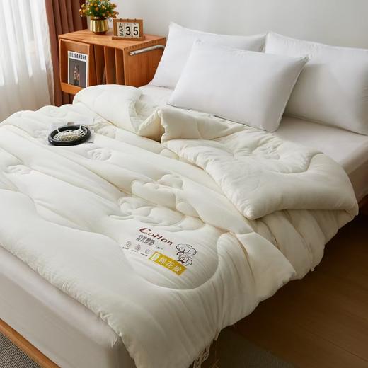 新疆棉花绗缝被/ 南疆手采棉  蓬松柔软，绒长保暖，无刺激异味，适宜所有人群 商品图0