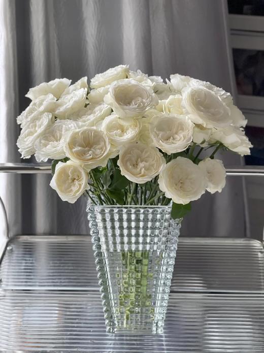 同城甄选精品玫瑰花泰勒10支 商品图3