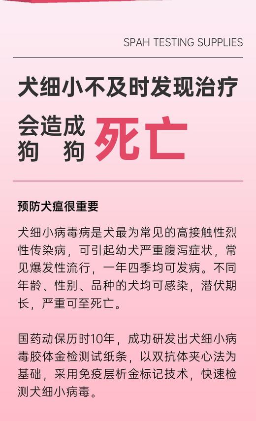 国药优宠加犬细小病毒胶体金检测试纸条10头份/盒，2027年3月26号到期，批准文号:兽药生字170268850批准文号:兽药生字170268850
【作用与用途]用于检测犬细小病毒。 商品图1
