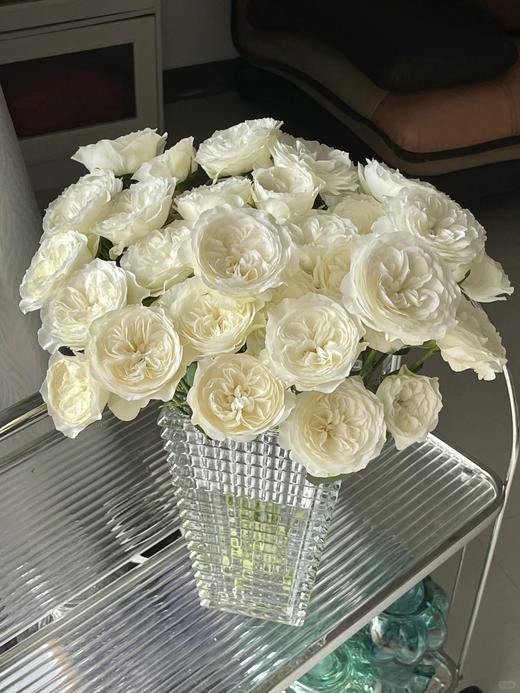 同城甄选精品玫瑰花泰勒10支 商品图4